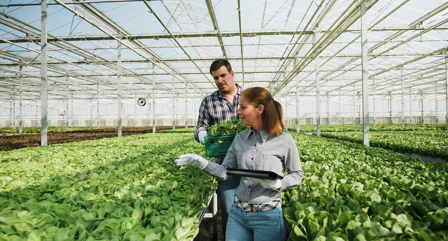 Especialista en registro de productos agrícolas en Perú revisando documentación técnica para procesos regulatorios