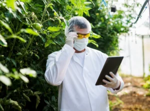 Especialista revisando expediente técnico para registrar productos agrícolas en Perú