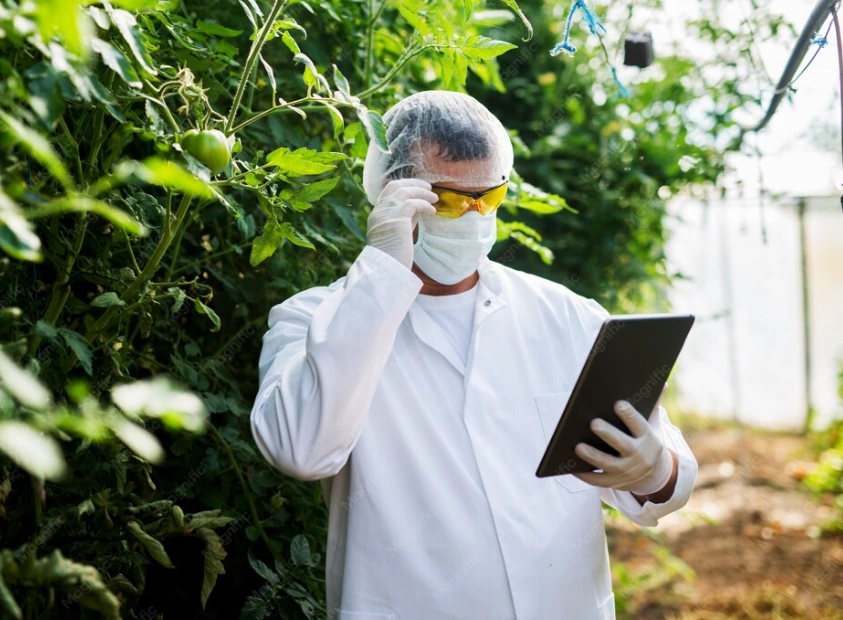 Especialista revisando expediente técnico para registrar productos agrícolas en Perú